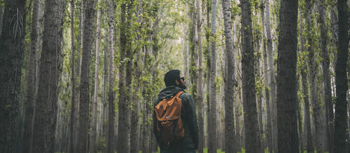 man hiking in forest