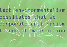 black environmentalism necessitates that we incorporate anti racism into our climate action