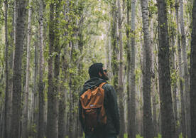man hiking in forest